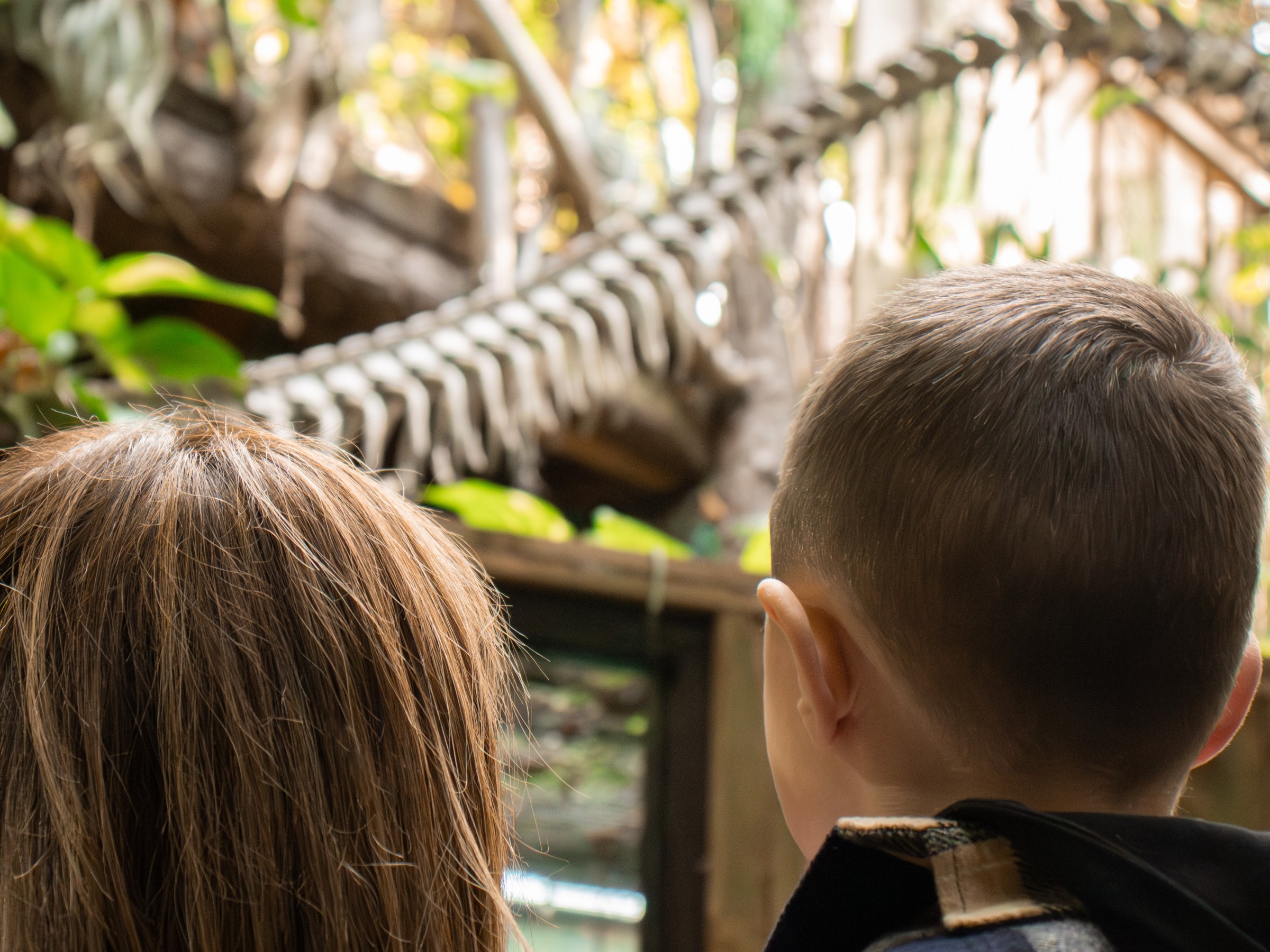 Two children looking at a large suspended skeleton in a jungle exhibit.