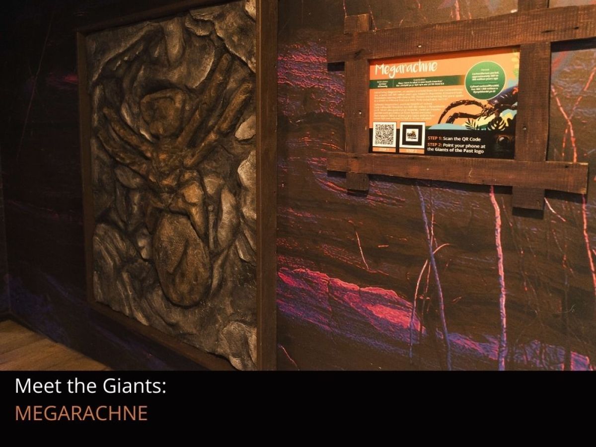 A life-sized fossil replica of Megarachne with a sign on a wall