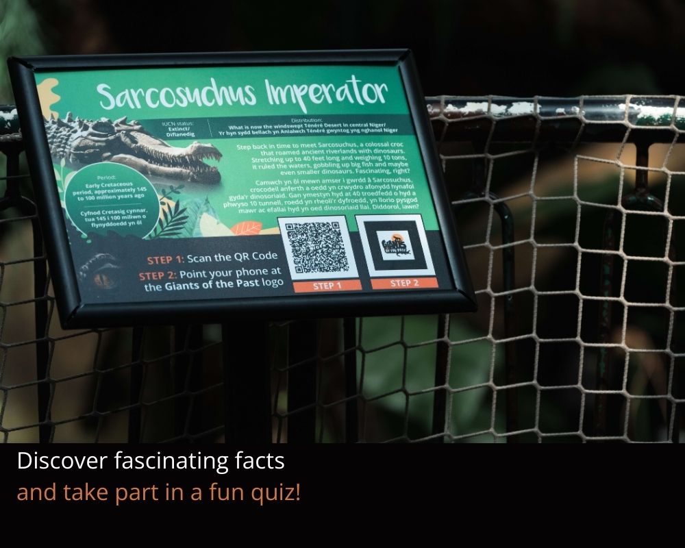 A photo of a sign with information about Sarcosuchus Imperator