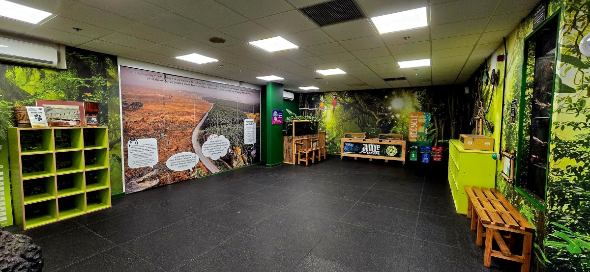 An empty Grow your Imagination room with jungle themed walls and a soft rubber floor