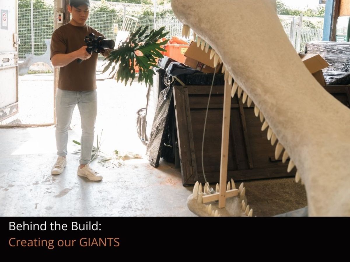 A photographer filming a close up of a replica skeleton head of Sarcosuchus Imperator in a warehouse
