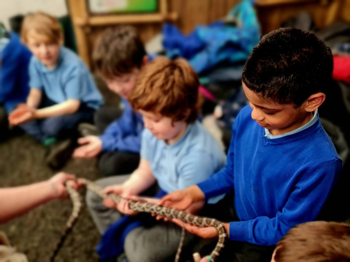 Education a group of school children handling a snake