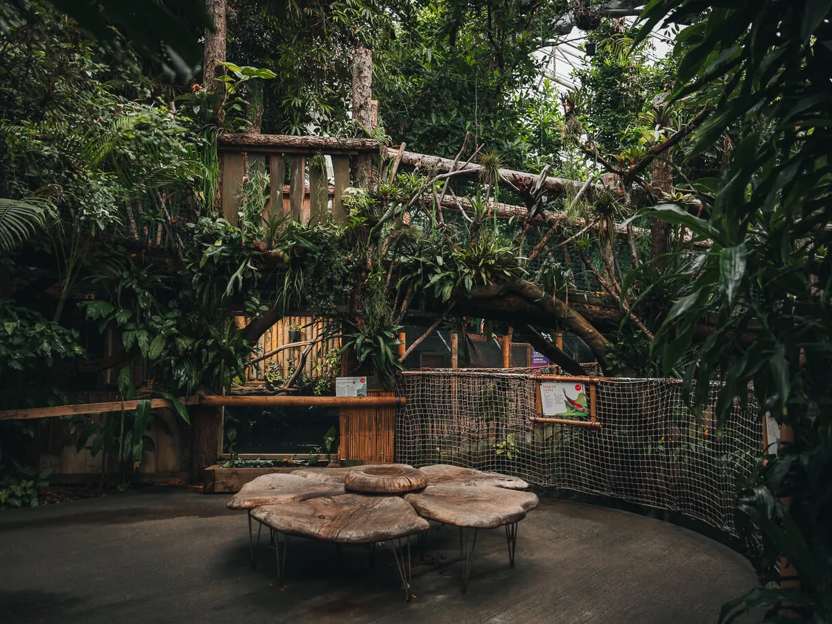 a bench next to a palm tree