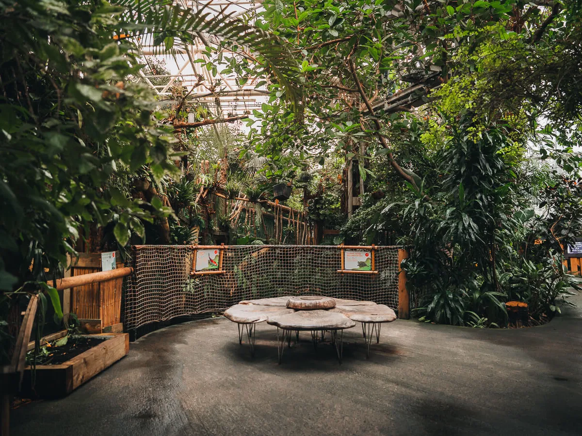 A bench set in the middle of trees inside Plantasia Tropical Zoo