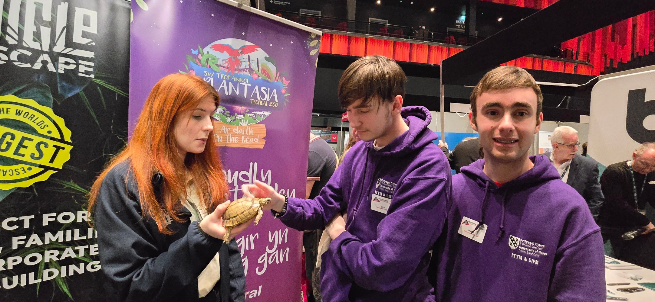 A zookeeper and 2 students looking at an Egyptian Tortoise in front of a purple sign