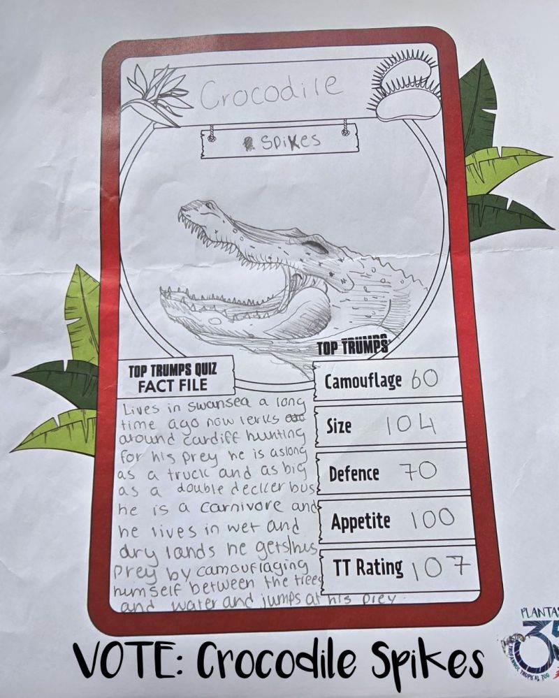 A childs drawing of a Crocodile - the winner of the Age 13-17 Plantasia Top Trumps competition