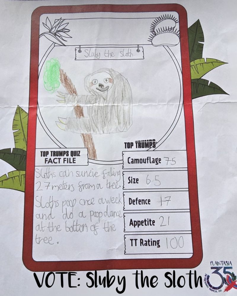 A childs drawing of a Sloth - the winner of the Age 8-12 Plantasia Top Trumps competition