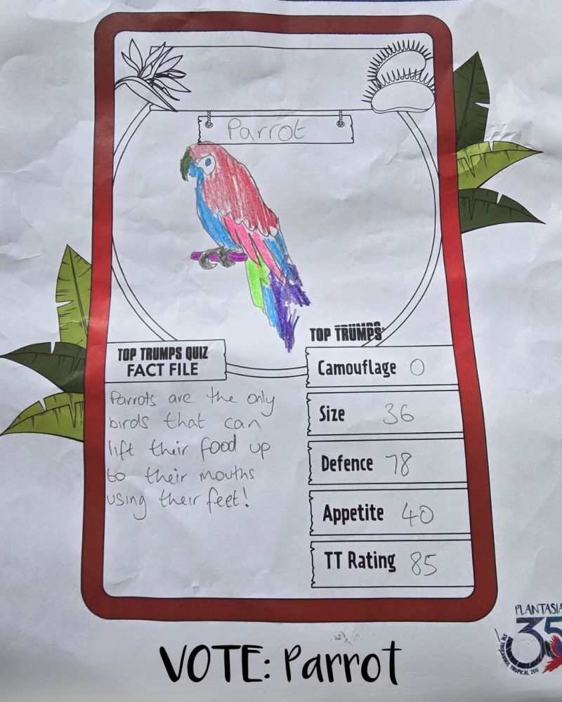 A childs drawing of a Parrot - the winner of the Age 2-4 Plantasia Top Trumps competition