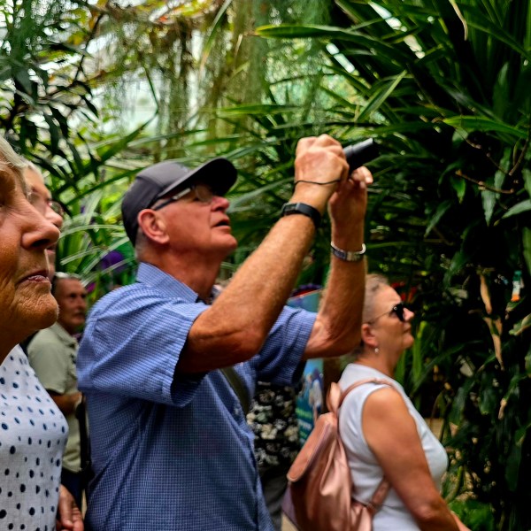 a man, stood between two women, taking a photo of a plant