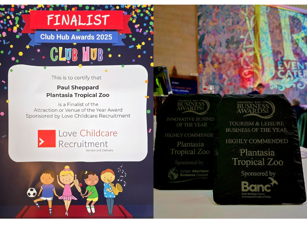 Awards certificate and plaques for Plantasia Tropical Zoo at Club Hub and Swansea Bay Business Awards 2025