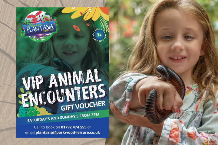 Child holding millipede, smiling. 'VIP Animal Encounters' voucher ad with contact details on the left.