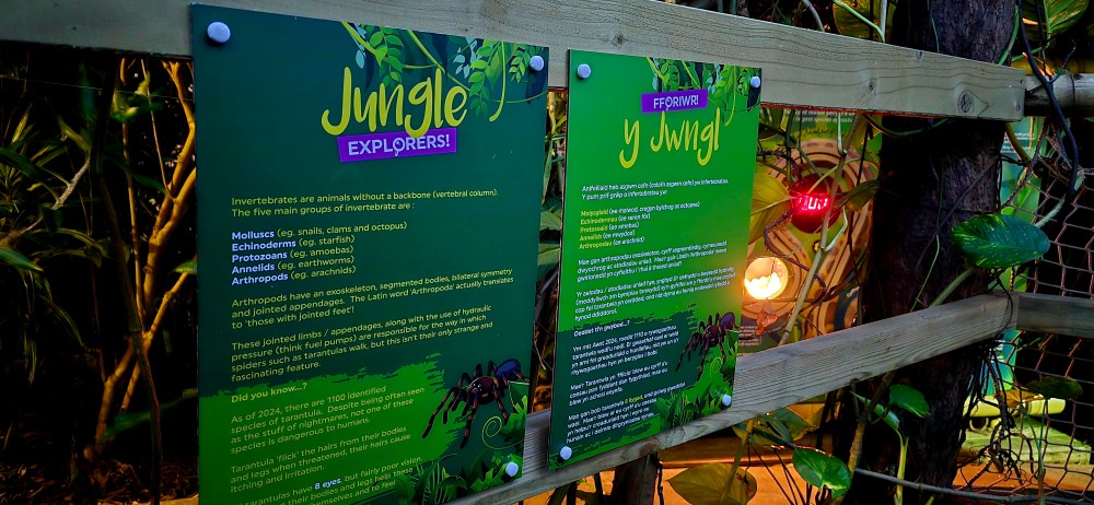Two green signs titled 'Jungle Explorers' with information about invertebrates on a wooden fence in English & Welsh