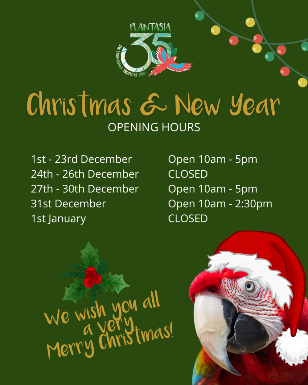 A green background poster with Christmas to New Year opening times at the zoo. A parrot in the bottom right corner wearing a santa hat