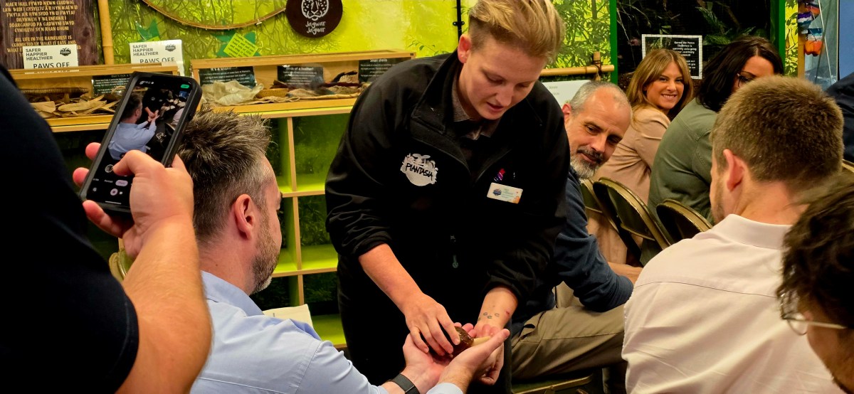 A female zookeeper showing a small animal to seated people, one taking a photo with a phone.