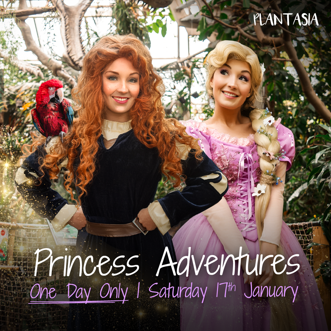 Two women in princess costumes with a parrot, text reads: 'Princess Adventures, One Day Only, Saturday 17th January'.