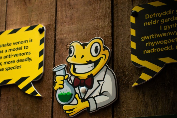 Cartoon frog in a lab coat holding beaker, flanked by warning signs.