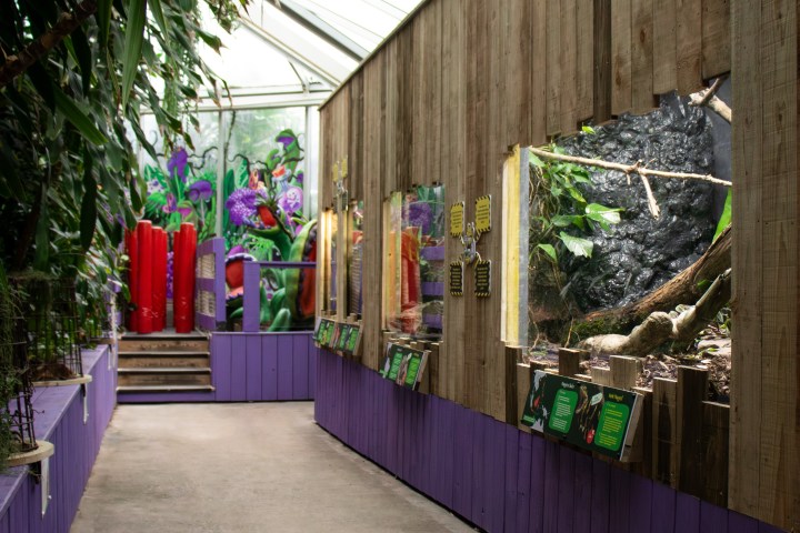 Indoor zoo exhibit with displays, wooden walls, and colorful plant decor.