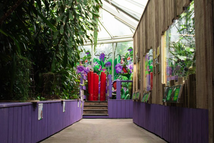 Indoor garden passage with purple walls, plants, and colorful mural at the end.