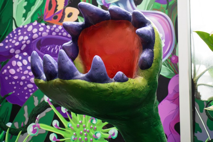 Colorful sculpture of a plant with open mouth, surrounded by vibrant floral mural.