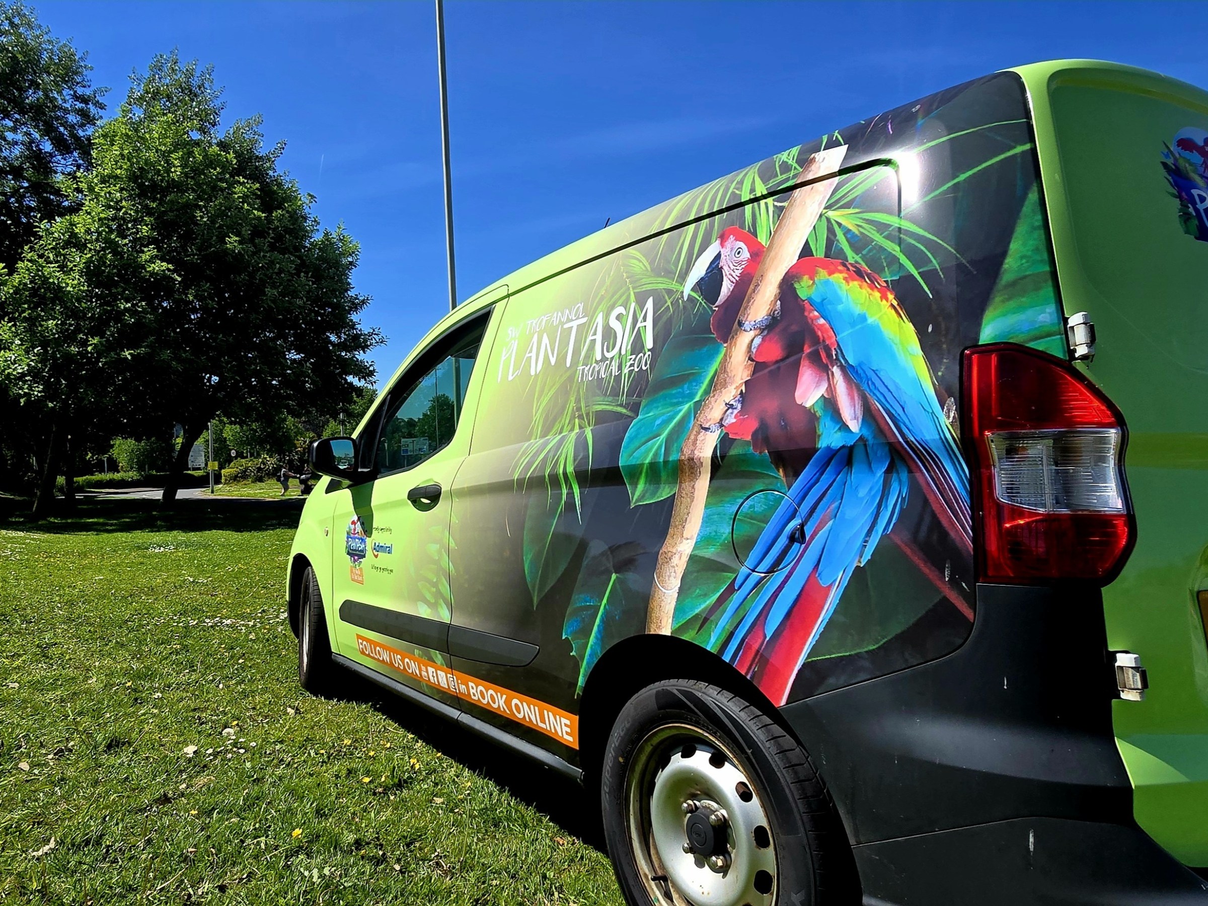 Green van with a macaw image parked on a grassy field, sunny day.
