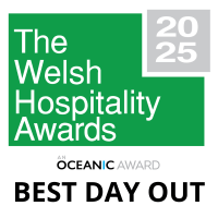 The Welsh Hospitality Awards 2025 logo, 'Best Day Out' category.