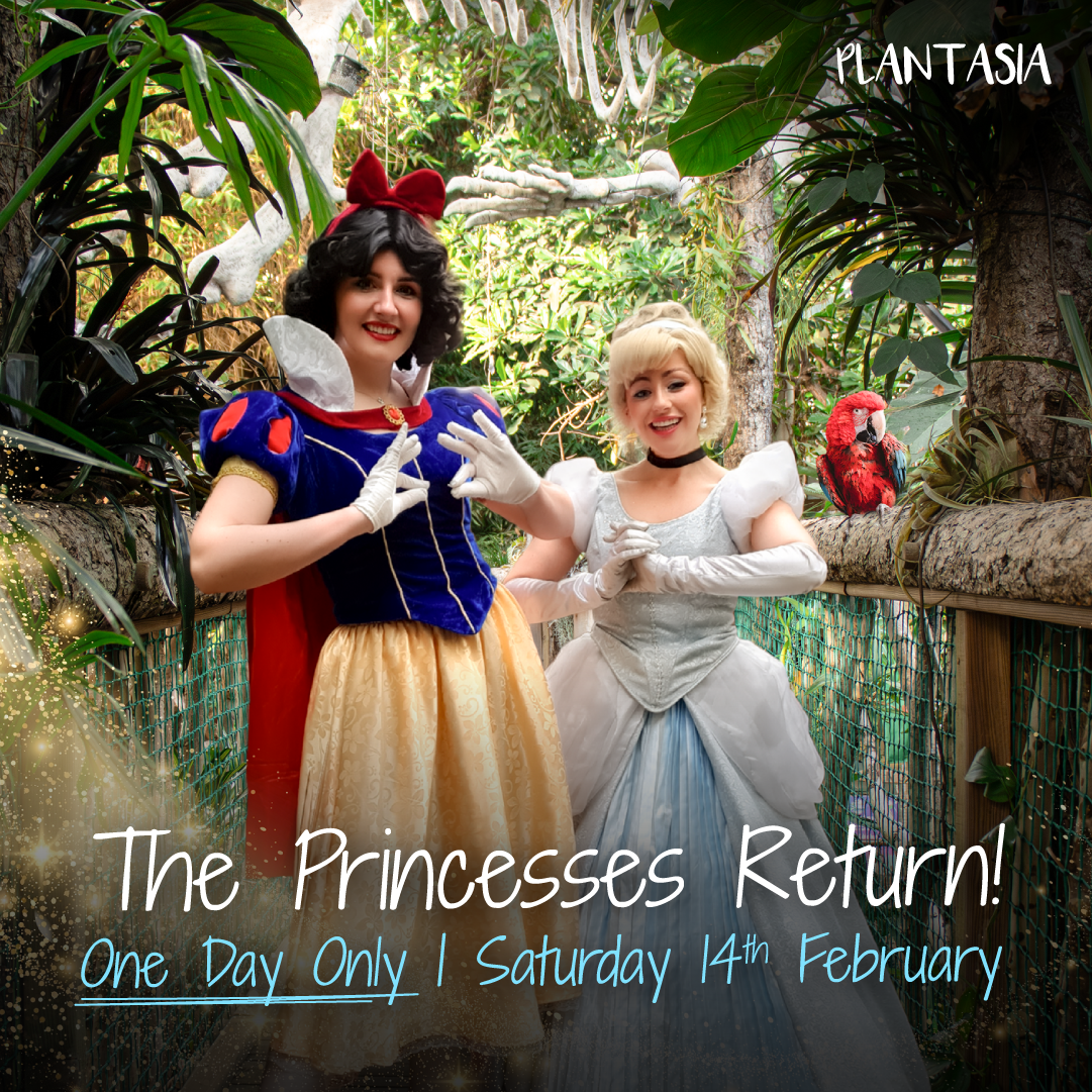 Two women in princess costumes posing in a lush, tropical setting with a red parrot and event details.