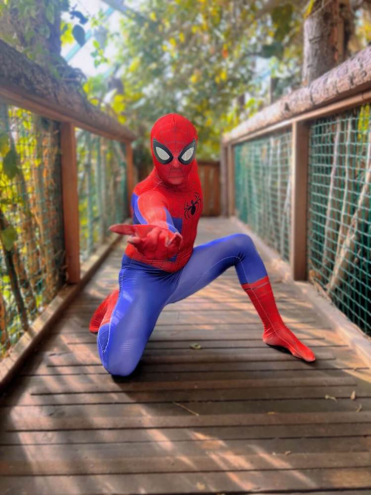 Person in Spider-Man costume posing on a wooden bridge.