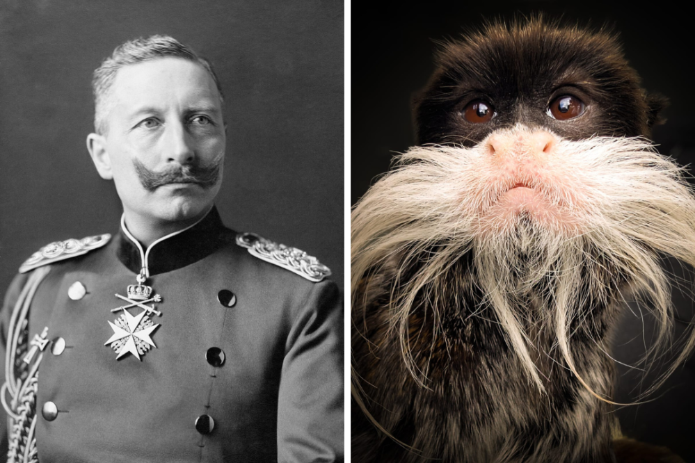 A man in uniform with a mustache and a monkey with a similar mustache.