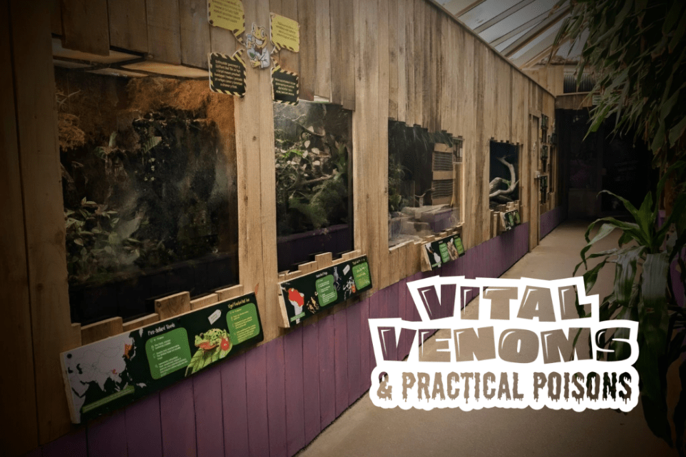 Exhibit titled 'Vital Venoms & Practical Poisons' showcasing various reptiles and plants.