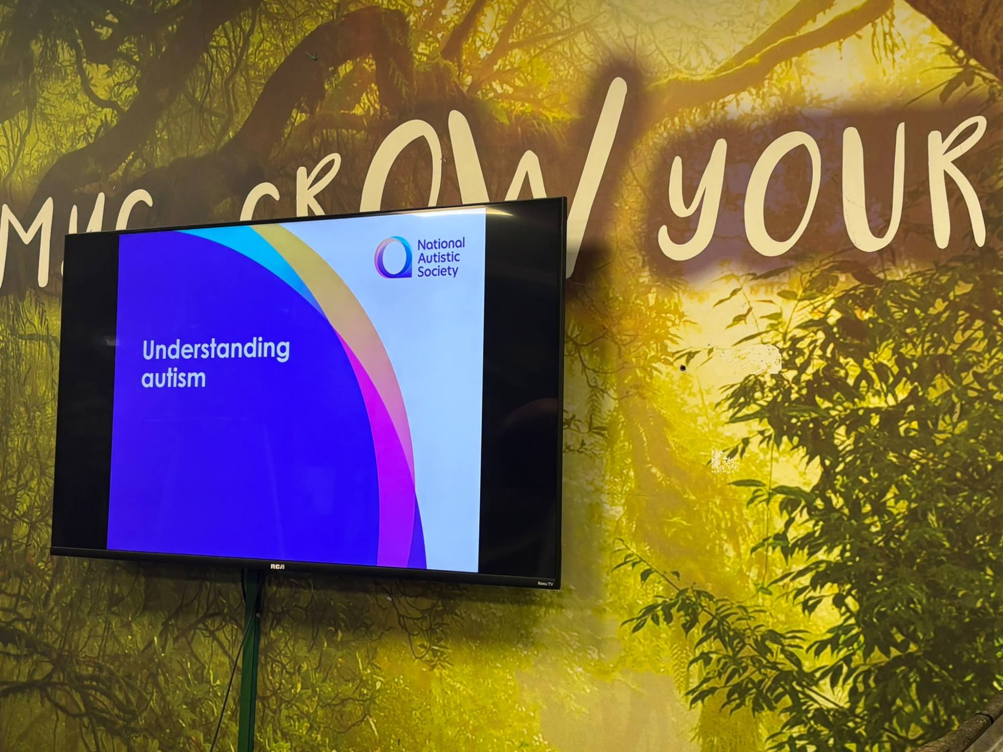 TV displaying a National Autistic Society presentation in front of a leafy wall.