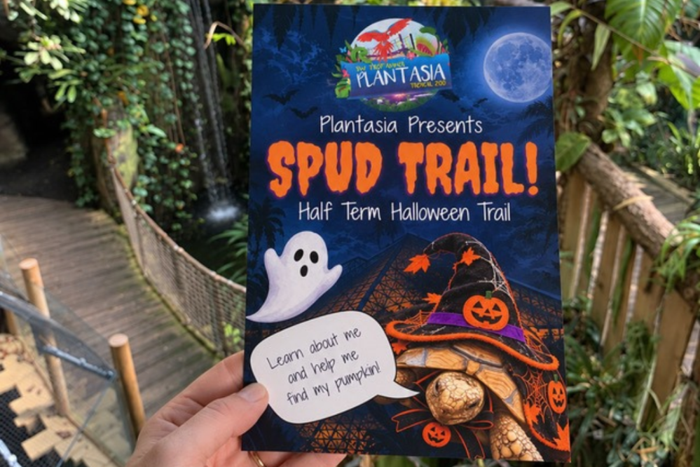 Hand holding a Halloween-themed flyer titled 'Spud Trail' with ghost and pumpkin images.