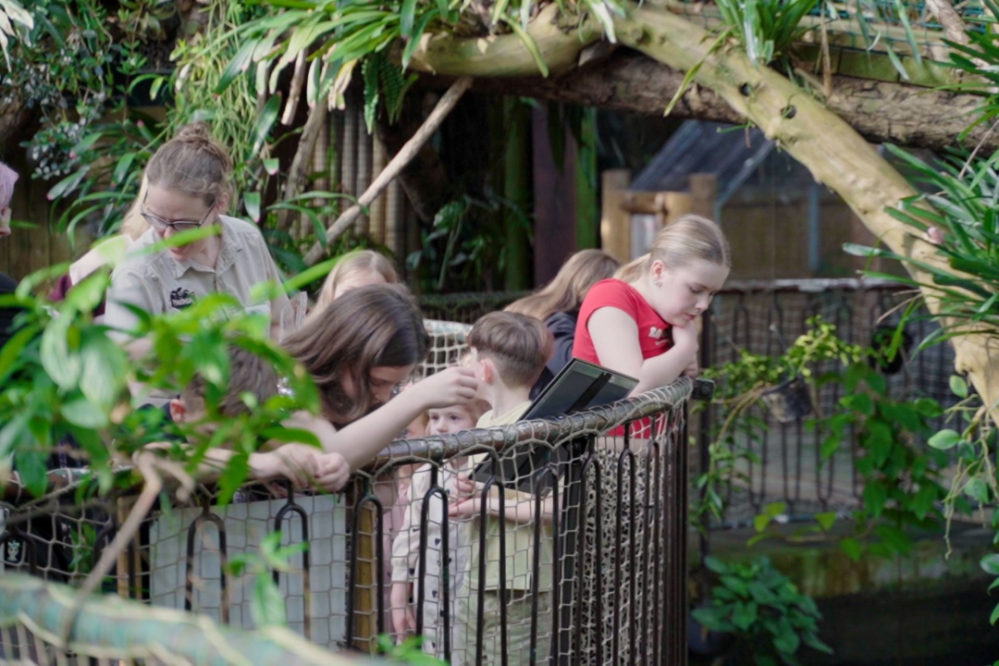 People leaning over a railing in a lush, indoor enclosure with plants.